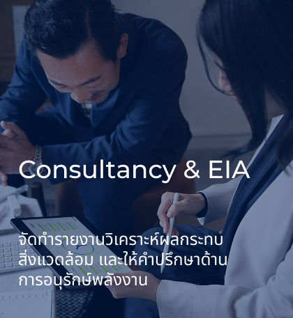 Consultancy & EIA